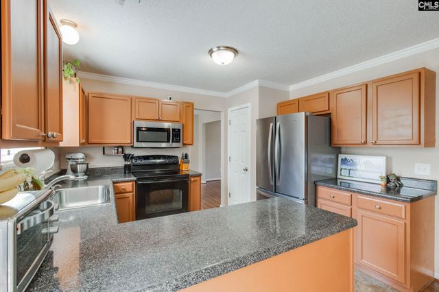 316 Turkey Beard Court, Chapin, SC 29036
