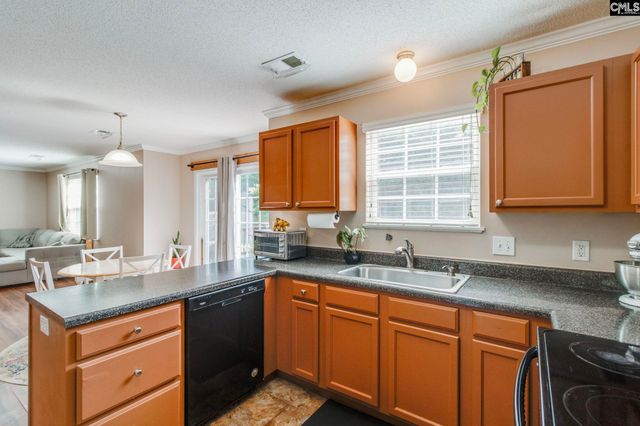 316 Turkey Beard Court, Chapin, SC 29036