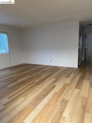 708 Solano Ave, Albany, CA 94706