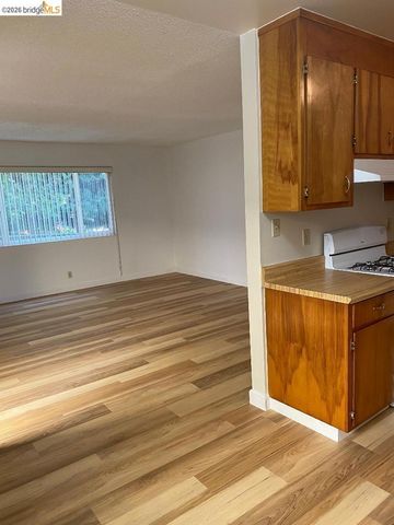 708 Solano Ave, Albany, CA 94706