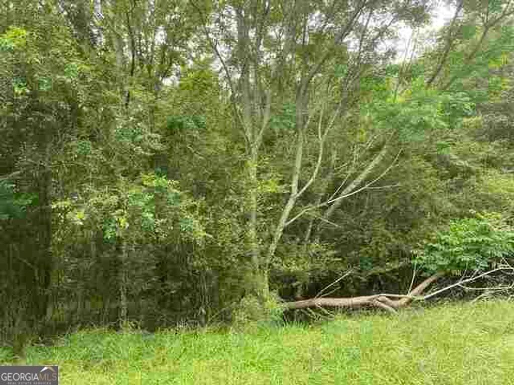 0 River Birch Lane TRACT 9, Colbert, GA 30628 — exterior