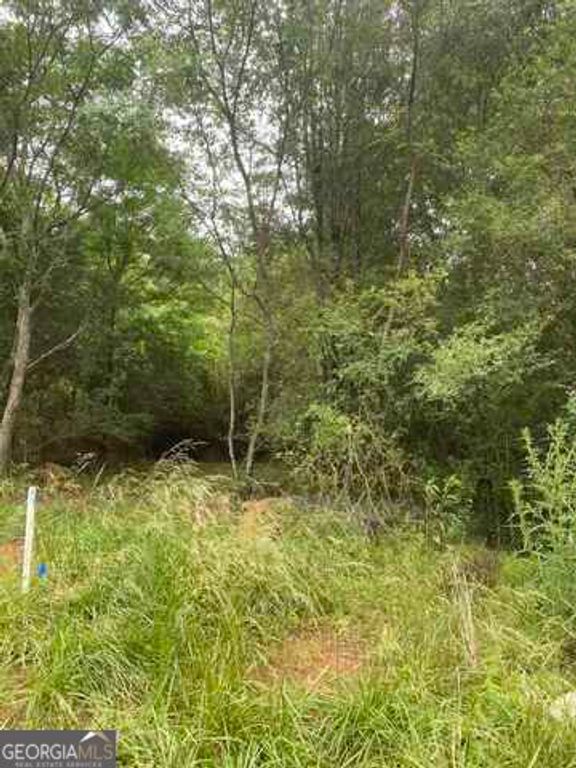 0 River Birch Lane TRACT 9, Colbert, GA 30628 — photo 2