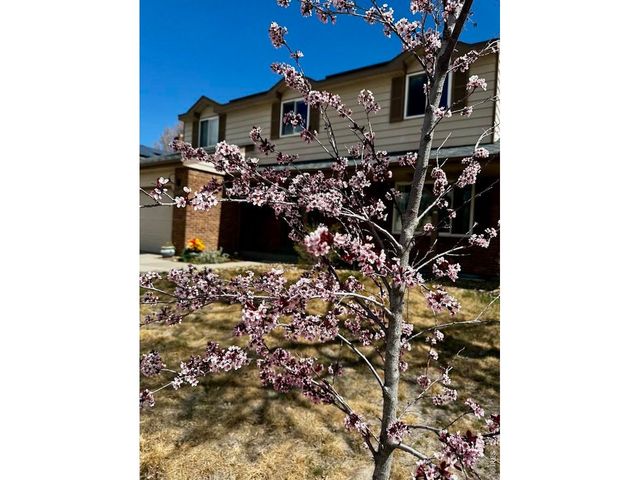 8330 Garland Dr, Arvada, CO 80005