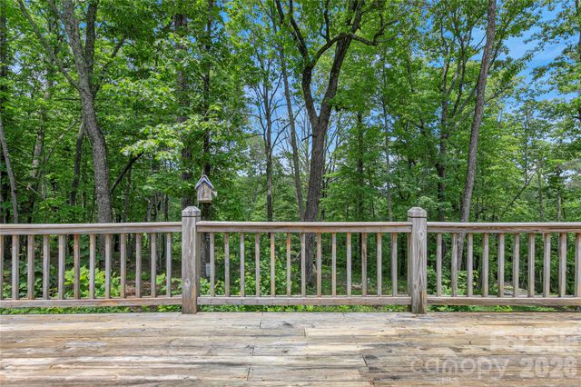 154 Chestnut Lane, Cedar Mountain, NC 28718