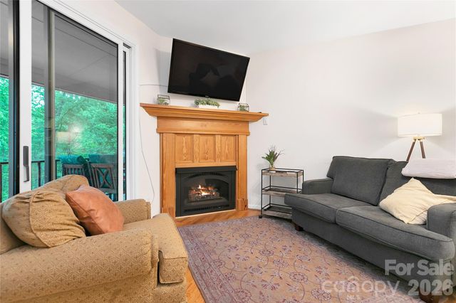 154 Chestnut Lane, Cedar Mountain, NC 28718