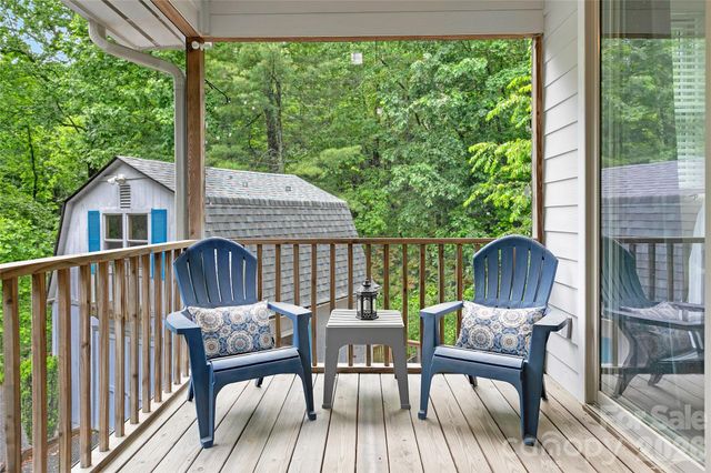 154 Chestnut Lane, Cedar Mountain, NC 28718
