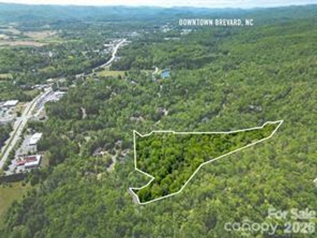 154 Chestnut Lane, Cedar Mountain, NC 28718