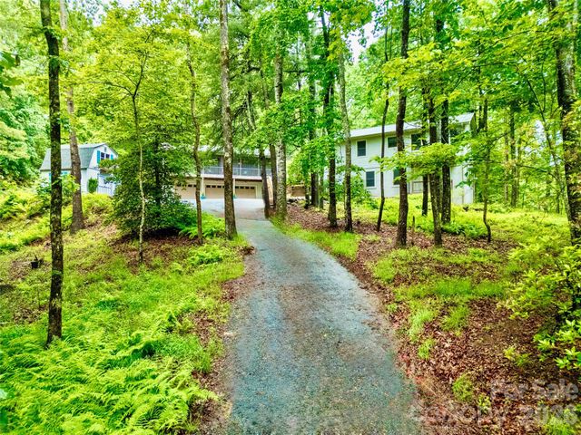 154 Chestnut Lane, Cedar Mountain, NC 28718