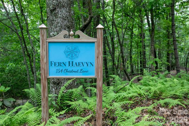 154 Chestnut Lane, Cedar Mountain, NC 28718