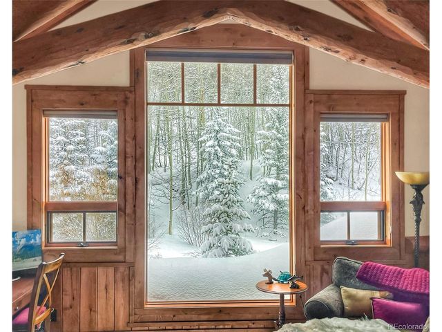 250 Buckeye Creek Rd, Leadville, CO 80461