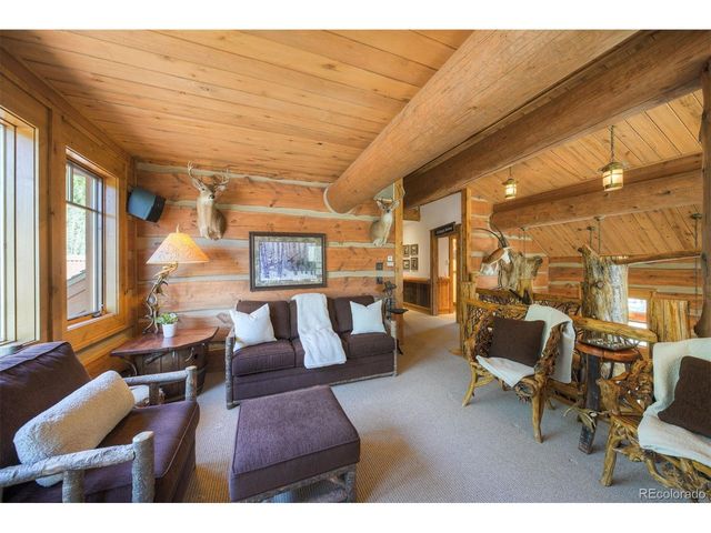 250 Buckeye Creek Rd, Leadville, CO 80461