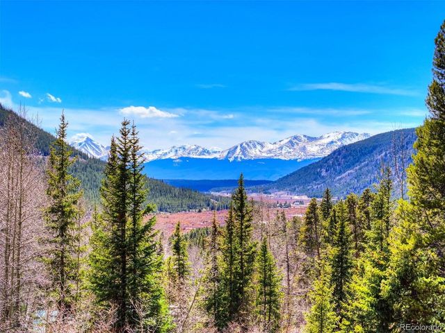 250 Buckeye Creek Rd, Leadville, CO 80461