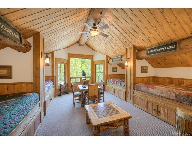 250 Buckeye Creek Rd, Leadville, CO 80461
