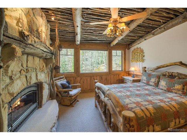 250 Buckeye Creek Rd, Leadville, CO 80461
