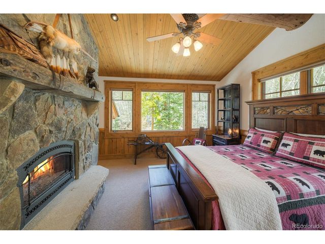 250 Buckeye Creek Rd, Leadville, CO 80461