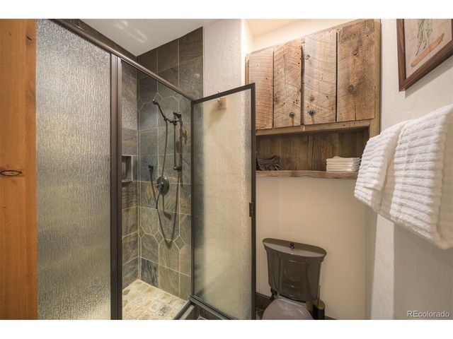 250 Buckeye Creek Rd, Leadville, CO 80461
