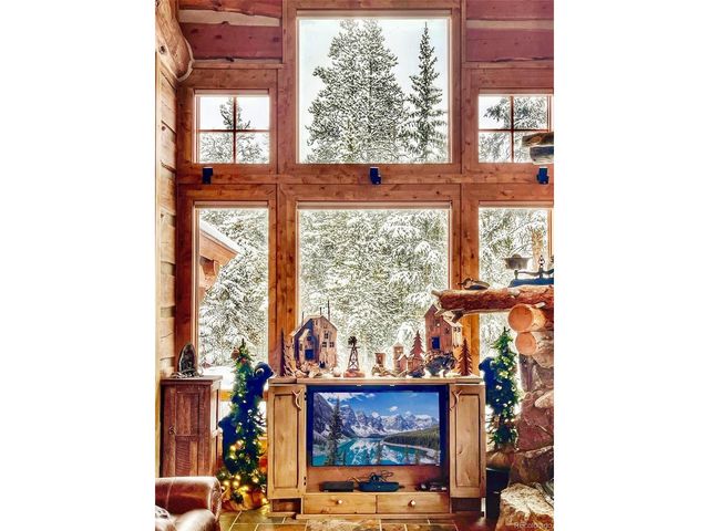 250 Buckeye Creek Rd, Leadville, CO 80461