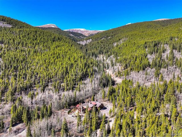 250 Buckeye Creek Rd, Leadville, CO 80461