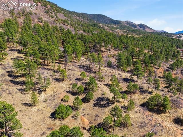 11070 W Highway 24, Cascade, CO 80819