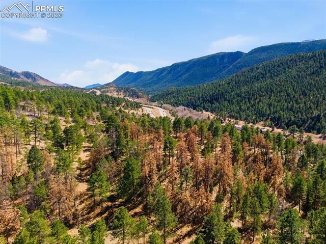11070 W Highway 24, Cascade, CO 80819