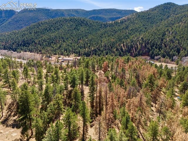 11070 W Highway 24, Cascade, CO 80819
