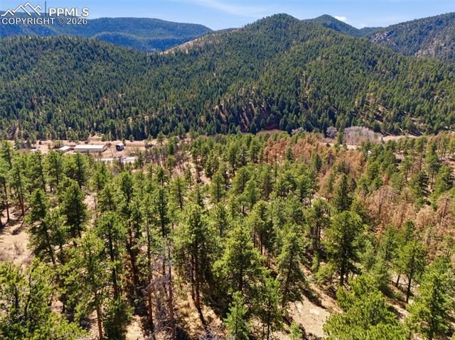 11070 W Highway 24, Cascade, CO 80819