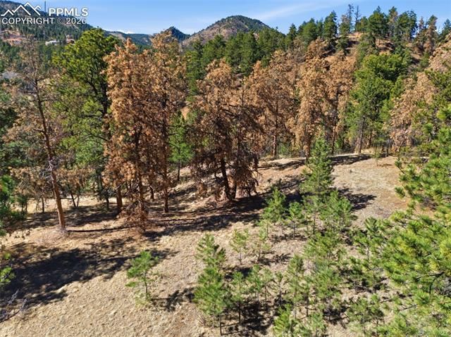 11070 W Highway 24, Cascade, CO 80819