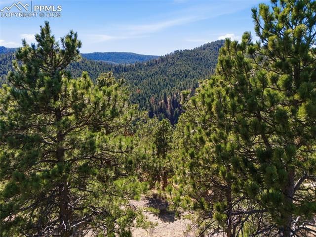 11070 W Highway 24, Cascade, CO 80819