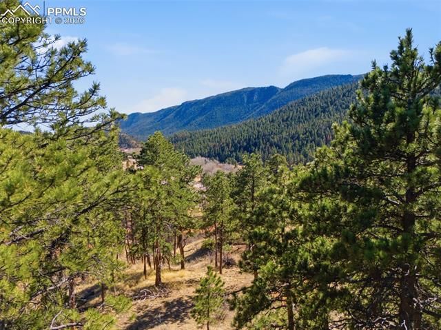 11070 W Highway 24, Cascade, CO 80819