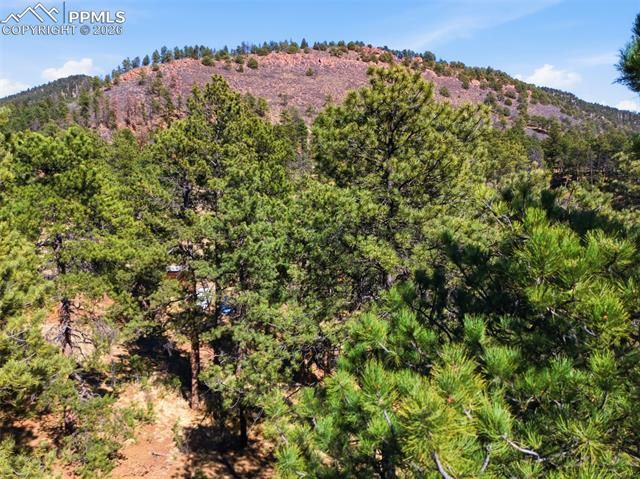 11070 W Highway 24, Cascade, CO 80819