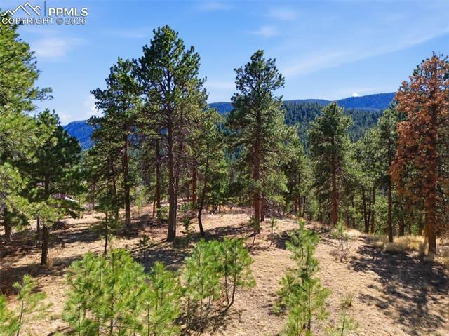 11070 W Highway 24, Cascade, CO 80819