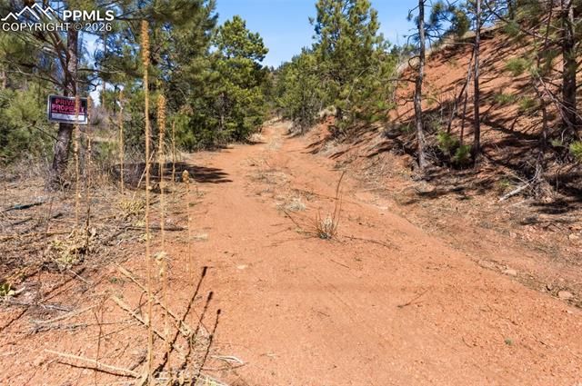 11070 W Highway 24, Cascade, CO 80819