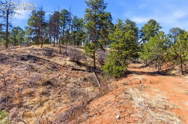 11070 W Highway 24, Cascade, CO 80819