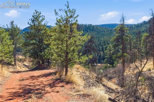 11070 W Highway 24, Cascade, CO 80819