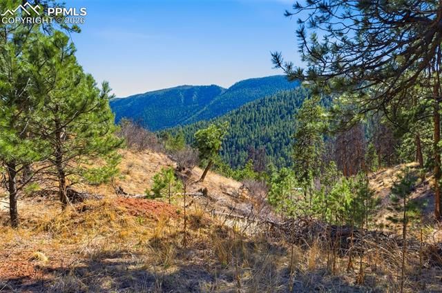11070 W Highway 24, Cascade, CO 80819