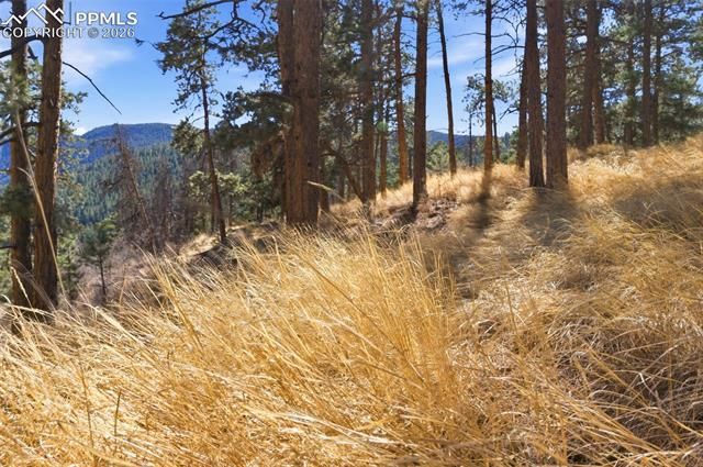 11070 W Highway 24, Cascade, CO 80819