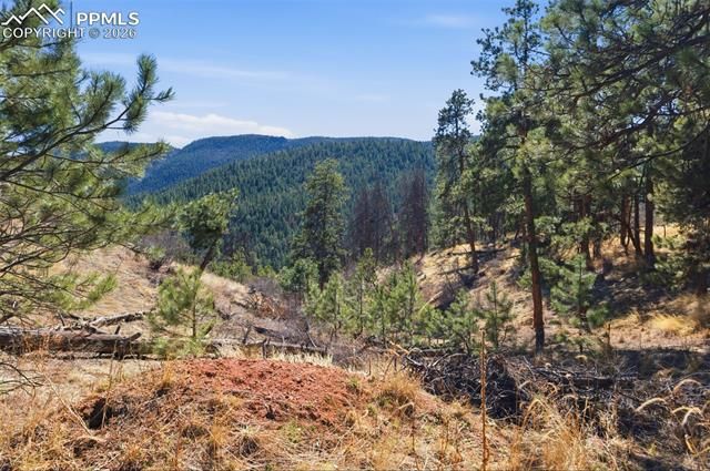 11070 W Highway 24, Cascade, CO 80819