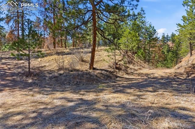 11070 W Highway 24, Cascade, CO 80819