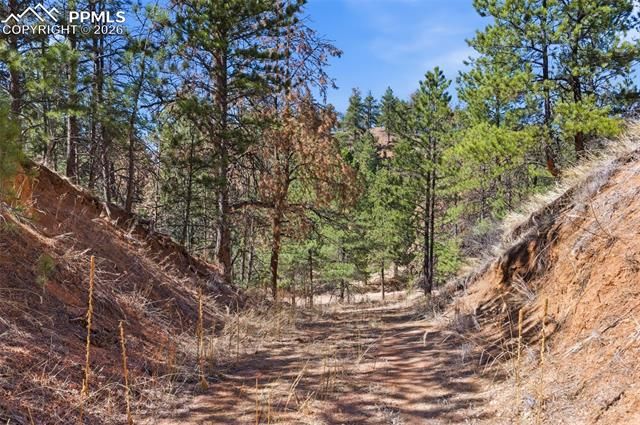 11070 W Highway 24, Cascade, CO 80819