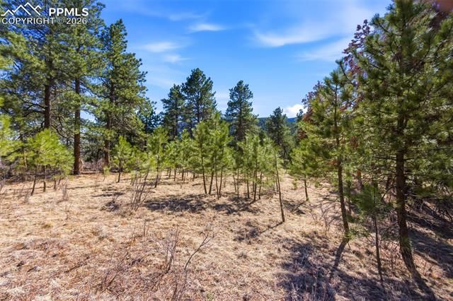 11070 W Highway 24, Cascade, CO 80819