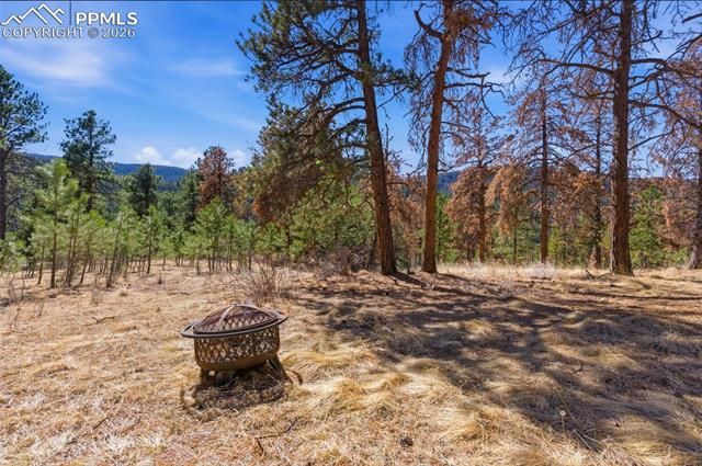 11070 W Highway 24, Cascade, CO 80819