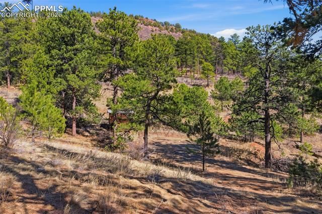 11070 W Highway 24, Cascade, CO 80819
