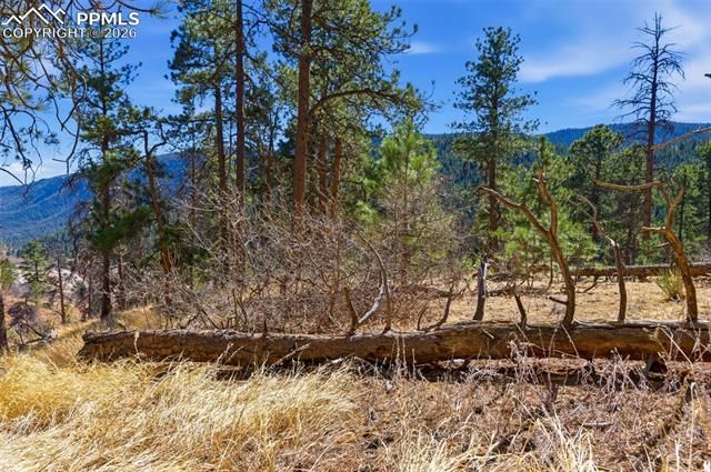11070 W Highway 24, Cascade, CO 80819