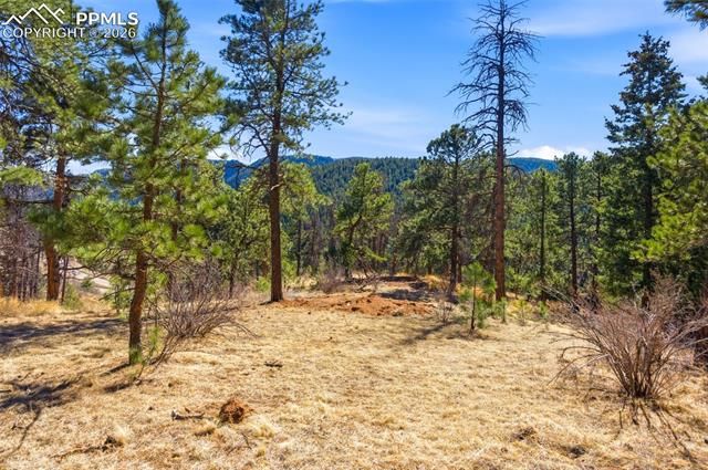 11070 W Highway 24, Cascade, CO 80819