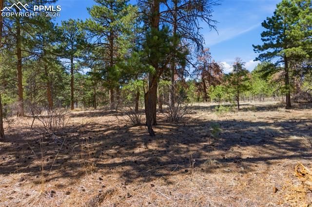 11070 W Highway 24, Cascade, CO 80819