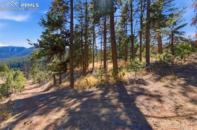 11070 W Highway 24, Cascade, CO 80819