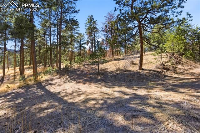 11070 W Highway 24, Cascade, CO 80819