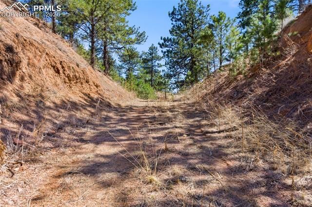 11070 W Highway 24, Cascade, CO 80819
