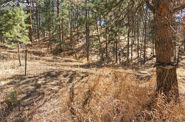 11070 W Highway 24, Cascade, CO 80819
