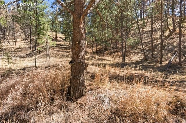 11070 W Highway 24, Cascade, CO 80819